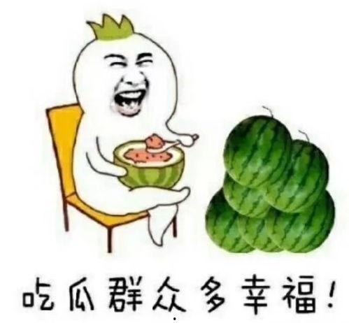 娱乐吃瓜全部,揭秘明星幕后故事，吃瓜群众狂欢盛宴